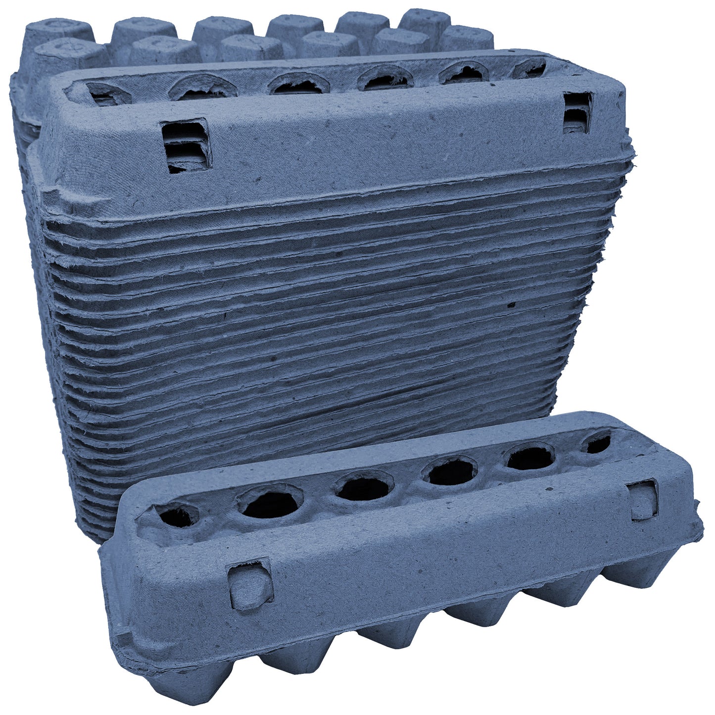 Vent Top Paper Pulp Egg Cartons - Blue