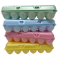 Foam Egg Cartons - Assorted Colors