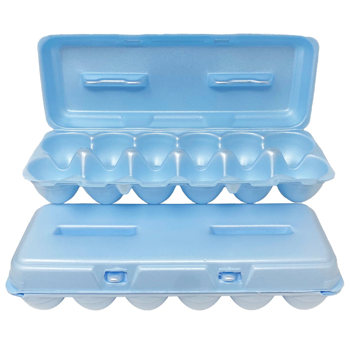 Foam Egg Cartons - Assorted Colors