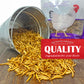 Dried Mealworms - 30 oz