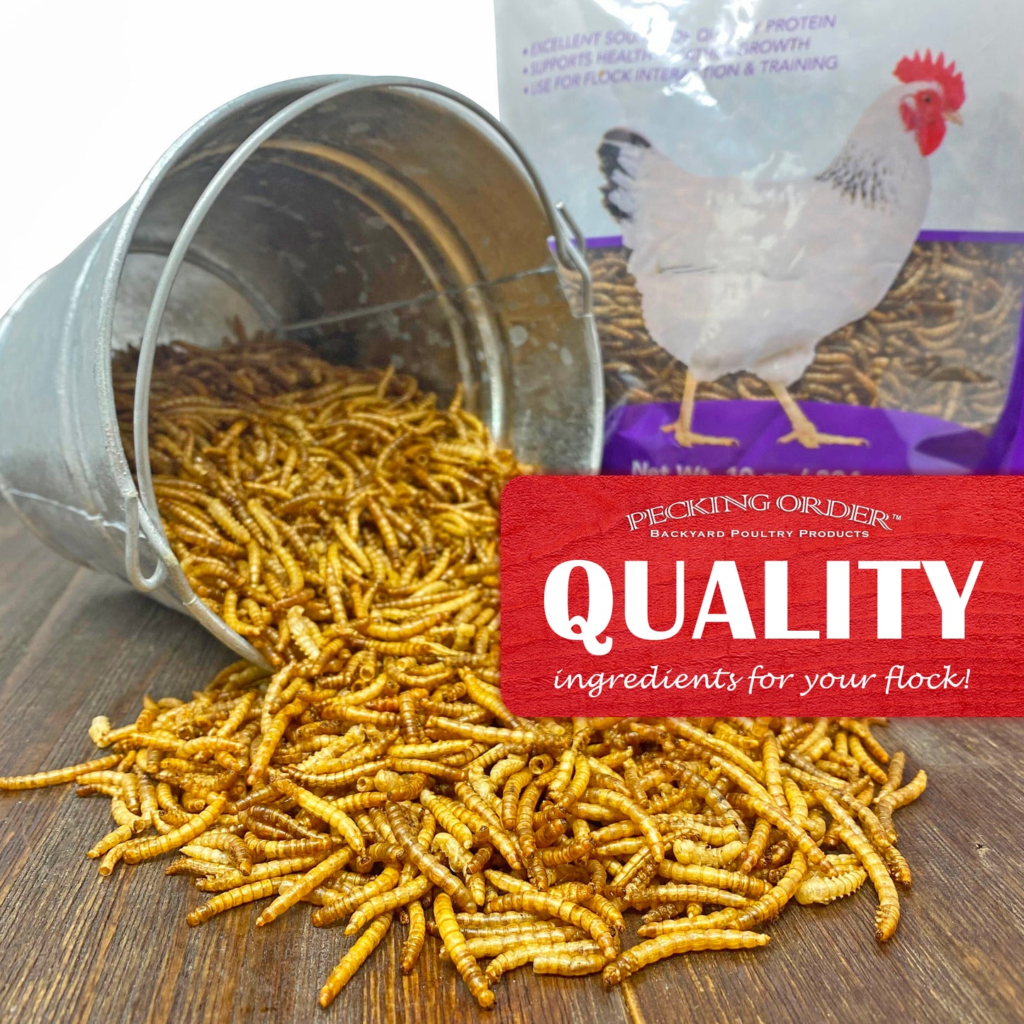 Dried Mealworms - 10 oz