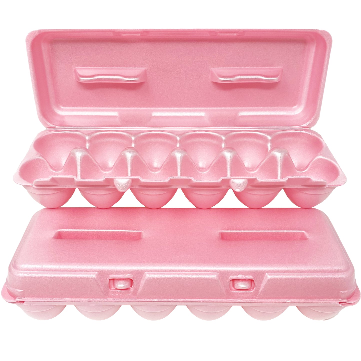 Foam Egg Cartons - Assorted Colors