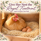 Excelsior Nest Box Pads - 5 Pack