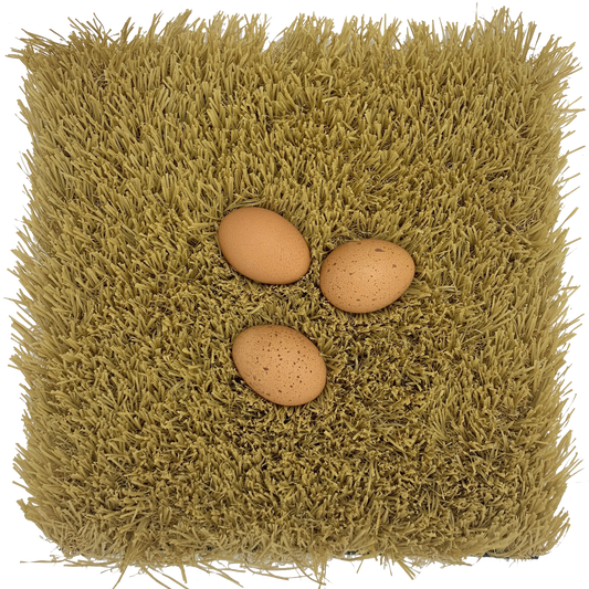 Nest Box Turf - Gold