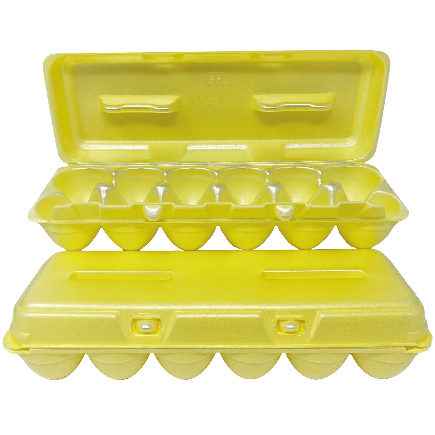 Foam Egg Cartons - Assorted Colors