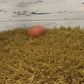 Nest Box Turf - Gold